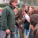 KONICA MINOLTA DIGITAL CAMERA