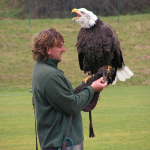 KONICA MINOLTA DIGITAL CAMERA